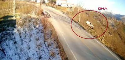 Hafif ticari aracın fındık bah&ccedil;esine u&ccedil;tuğu kaza kamerada