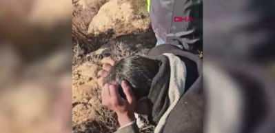 Şanlıurfa&rsquo;da otomobil sulama kanalına devrildi: 3 &ccedil;ocuğun cansız bedenine ulaşıldı