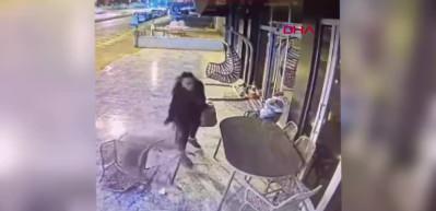 9 aracın lastiklerini kesen kadın, g&uuml;venlik kamerasına yakalandı