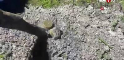 8 yıl boyunca planlanan cinayette yeni bir detay