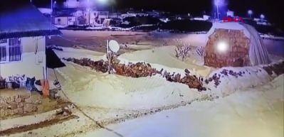 Çoban köpeği, tek başına 7 kurda karşı koydu