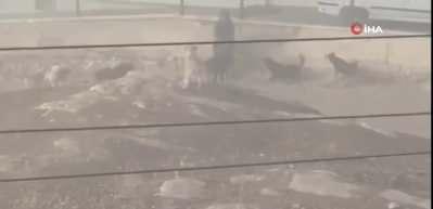 Ankara&rsquo;da korkutan g&ouml;r&uuml;nt&uuml;! Kadın canını zor kurtardı