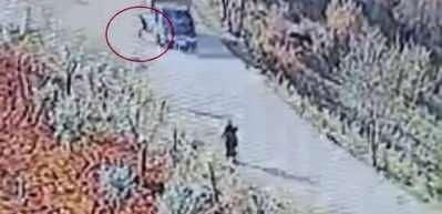 Kuduz k&ouml;pek kadına saldırdı! K&ouml;y karantinaya alındı