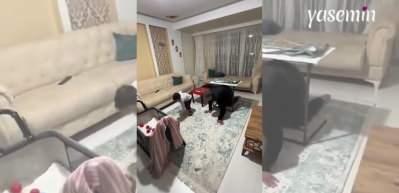 Dede ve torunun Survivor parkuru! Birlikte böyle yarıştılar...