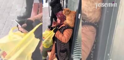 İstanbul soğuna dayanamayan kedi kendini teyzenin omzuna attı!