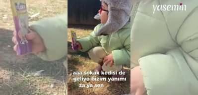 Sokak kedilerini besleyen güzel kalpli kız görenlerin içini ısıttı!