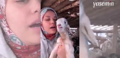 Oğlak keçi sesi çıkarmayı sahibinden öğrendi! O anlar görenlerin içini ısıttı