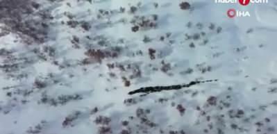 Erzincan'da 60 bin TL'ye &ccedil;oban bulunmuyor!