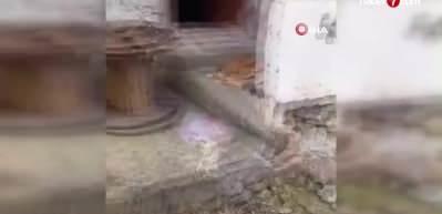 Kış uykusundan uyanan ayılar k&ouml;y evlerine zarar verdi