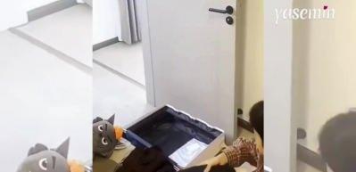 Seyahate çıkacağını sanan köpek bavulunu böyle hazırladı! O anlar içleri ısıttı