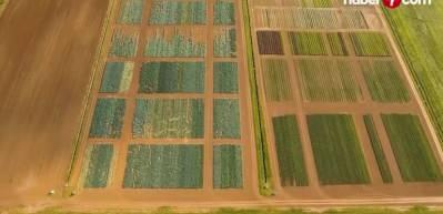 &Ccedil;ift&ccedil;ilere 6 milyar liralık destek &ouml;demesi bug&uuml;n yapılacak