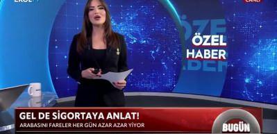 Fareler yuva yaptı: Aracı her g&uuml;n yavaş yavaş yiyorlar!