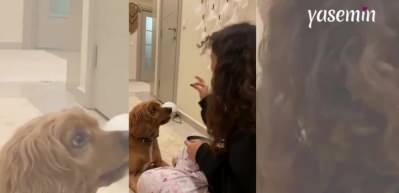 Yüksek sesle havlayan köpeğine havlama eğitimi verdi! "Sessiz ama net"