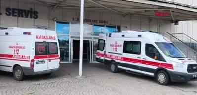 Kars'ta 8 &ccedil;ocuk 'g&uuml;zelavrat' otu yedi, zehirlendi