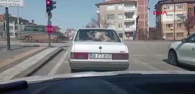 Görenler şaşkın: Buzağıyı otomobille taşıdılar