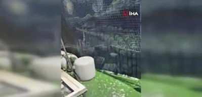 Bakırköy'de çocuğun çakmakla oynaması yangına neden oldu