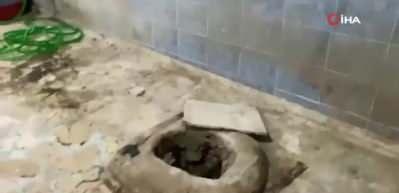 Gaziantep'te 1,5 ton bozuk et ele geçirildi, imha edildi