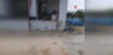 Kurt ağıla girdi, kurbanlık kuzuları telef etti: &ldquo;Bir yıllık emeğim gitti&rdquo;