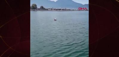 Balık yakaladığını sandı, oltadan martı çıktı