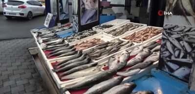 Av sezonu sona erdi, tezgahlarda olta balıkları yerini aldı: En pahalı balık 400 tl ile çupra
