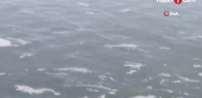 Marmara'nın kabusu geri geldi