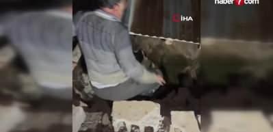 Yüksekova’da ahır çöktü: Onlarca hayvan göçük altında kaldı!