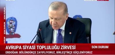 Başkan Erdoğan; "Ukrayna'da silahların susması için kritik dönemdeyiz"