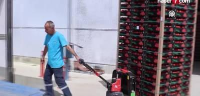 Manisa'da jeotermal serada üretilen 500 ton domates ihraç edildi