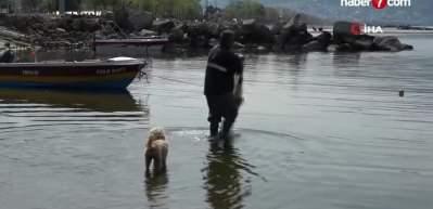 Ordu'da dedesinden öğrendi, günde 50 kilo balık yakalıyor!