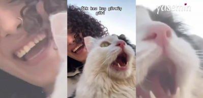 Kedinin kuş görünce verdiği tepki görenleri güldürdü!