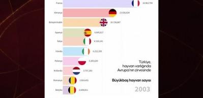  Türkiye, hayvancılıkta Avrupa'nın zirvesinde