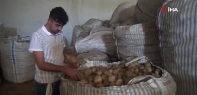 Ahlatlı çiftçiler patatesleri elde kaldı, acil çözüm bekliyor