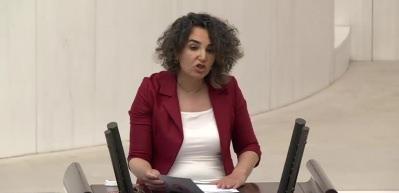 DEM Partili Milletvekili LGBT'lileri savundu!