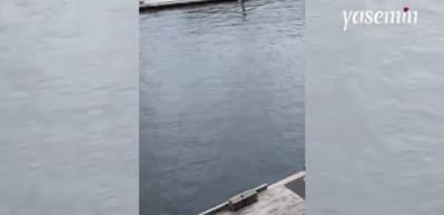 Gemiyi kaçırdığını zanneden adam gerçeği sonradan öğrendi!