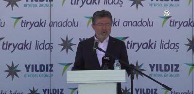 Aydın Çam Fıstığına AB’den coğrafi işaret tescili: Türkiye’nin tescilli ürün sayısı 33’e yükseldi