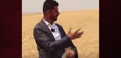Iraklı &ccedil;ift&ccedil;iden Gazze&rsquo;ye y&uuml;rek ısıtan destek: T&uuml;m buğday mahsul&uuml;n&uuml; bağışladı