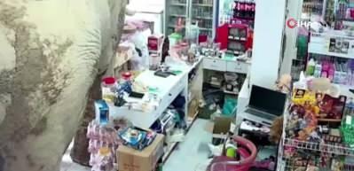Tayland'da market sahibi, atıştırmalıkları yiyen fili sapanla kovaladı