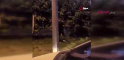 Kazada telef olan horozuna kalp masajı yaptı
