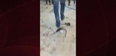 Şam, Aziz İlyas Kilisesi&rsquo;nde patlama: 13 &ouml;l&uuml; 53 yaralı