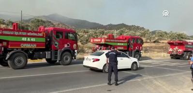 Aydın'da çıkan orman yangınına müdahale ediliyor