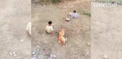 Köpeklerle beraber böyle eğlendiler! Görenlerin kalbi yumuşacık oldu