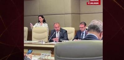Mustafa Varank: Bizde hırsıza hırsız denir