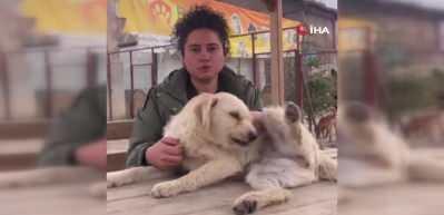 Sokak hayvanları sömürücüleri milyonları iç etmişler! 10 şüpheli tutuklandı