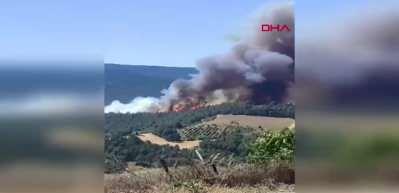 Sakarya ve Bilecik’te orman yangını sürüyor, tahliyeler devam ediyor