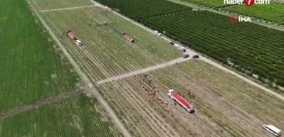 Tarlada 3-5 TL'den satılan domatesin market fiyatı 50 TL'den başlıyor!