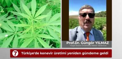 End&uuml;striyel kenevirde T&uuml;rkiye &ouml;nemli bir rol oynayabilir