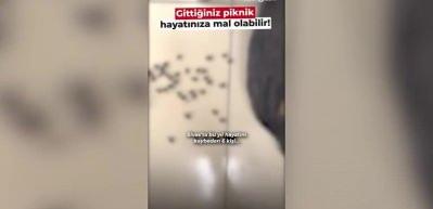 Gittiğiniz piknik hayatınıza mal olabilir!