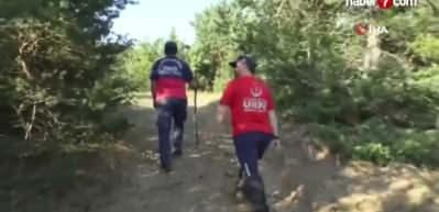 3,5 yaşında Tokat'ta kaybolmuştu... 7 yıldır haber alınamıyor!