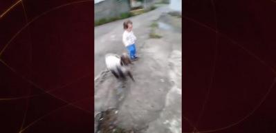 Babasını eve geldiğin gören küçük çocuğun mutluluğu herkesi tebessüm ettirdi