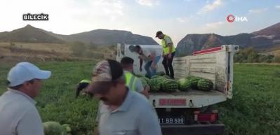 Fiyatlara Kızdılar 50 Ton Bedava Karpuz Dağıttılar!